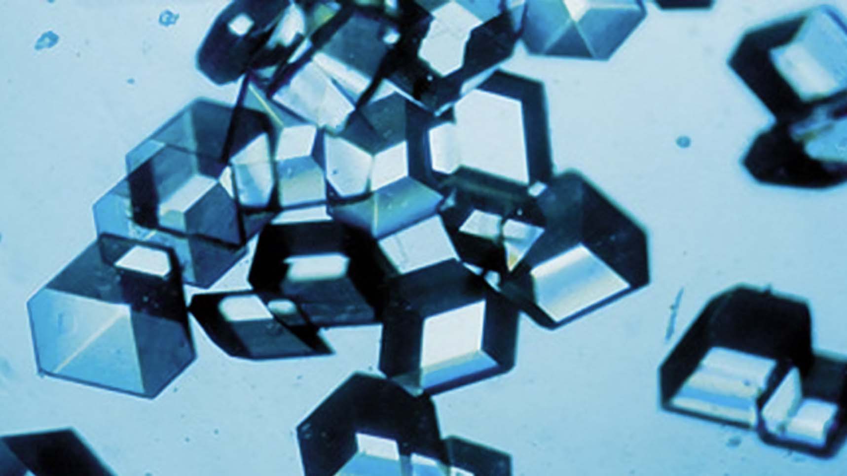 Insulin crystals in the shape of cubes