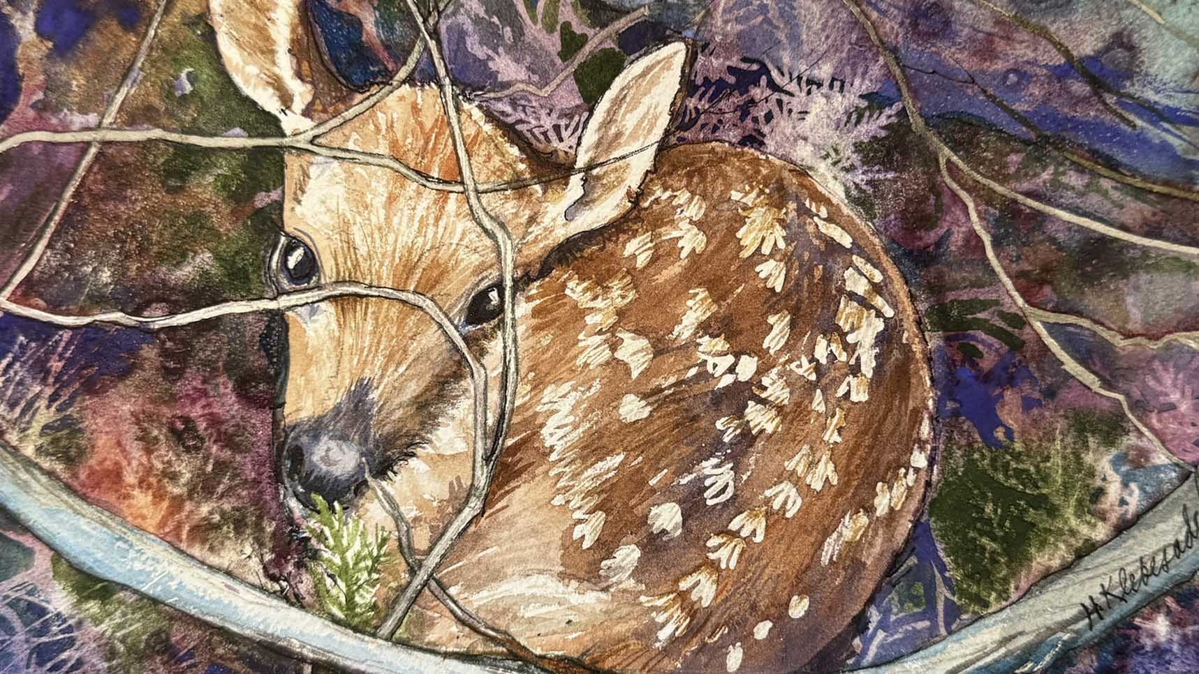 Watercolor of a fawn laying down in a brushy area