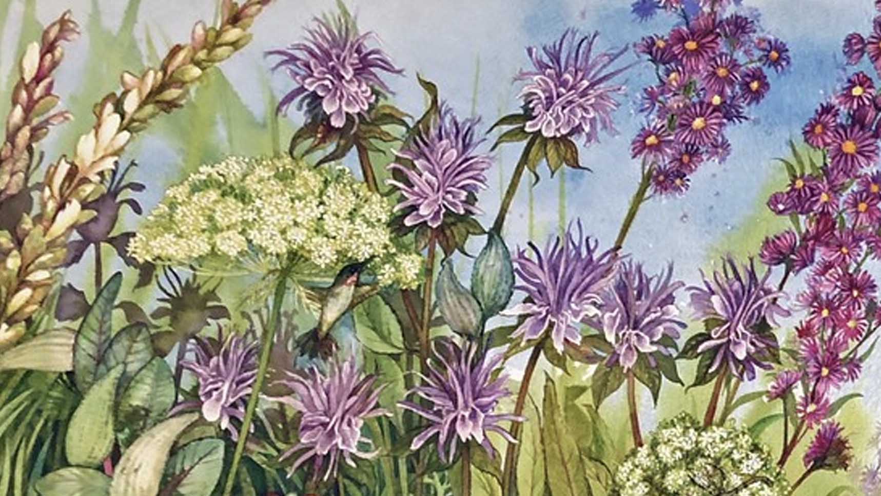 Watercolor of flowers in a prairie