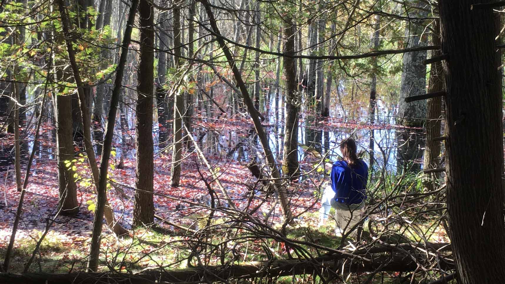 Person sitting in woods