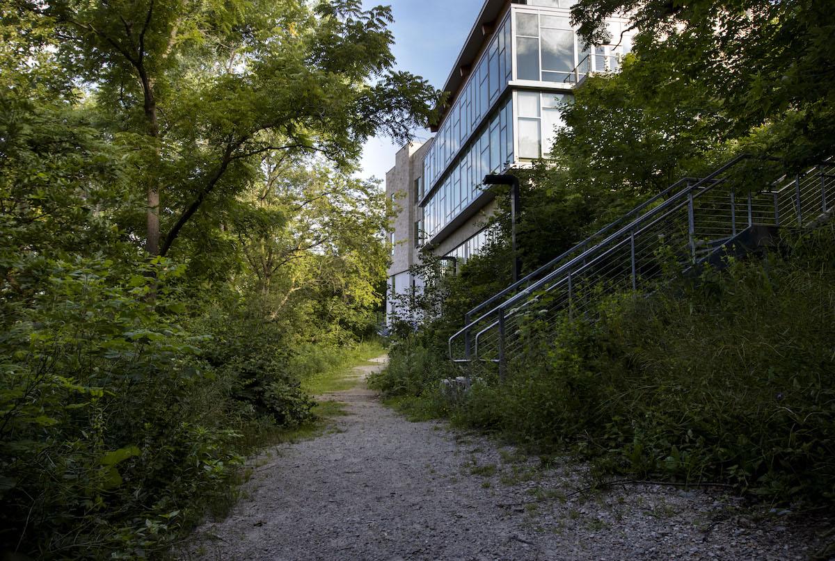 Trail full of green trees and the back of Warch Campus Center 