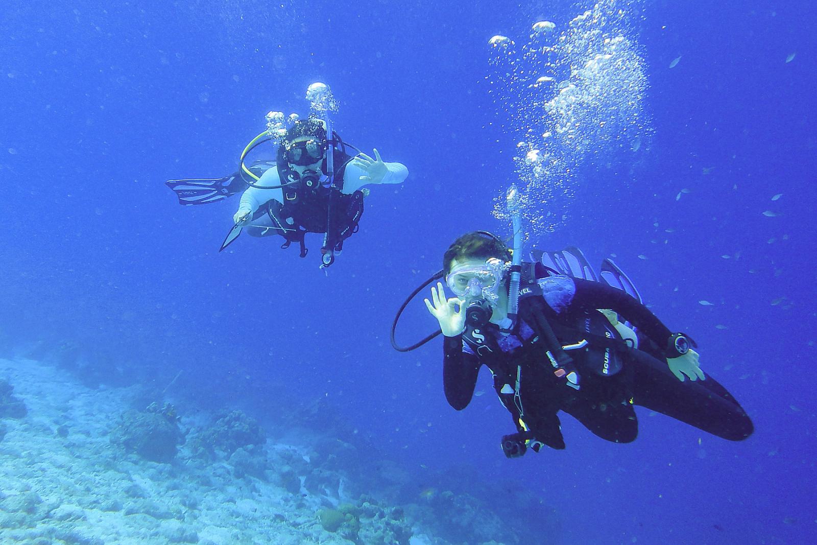 Students dive on a research trip to Bonaire.