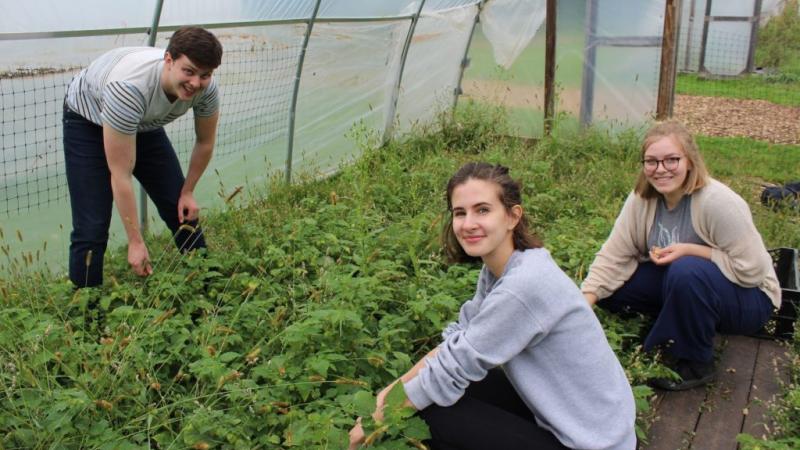 Lawrence students volunteer in the Sustainable LU Gardens during Welcome Week.