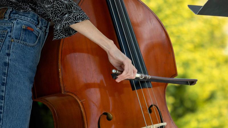 Close up of someone playing bass 