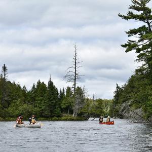 Several students canoeing on a guided tour - 2024 Land and Sea Pre-orientation Experience